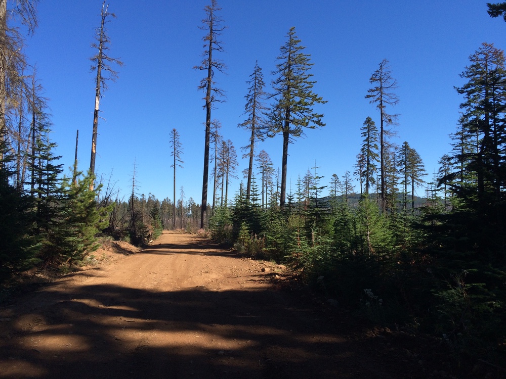 View from aid station at the 2015 Mountain Lakes 100