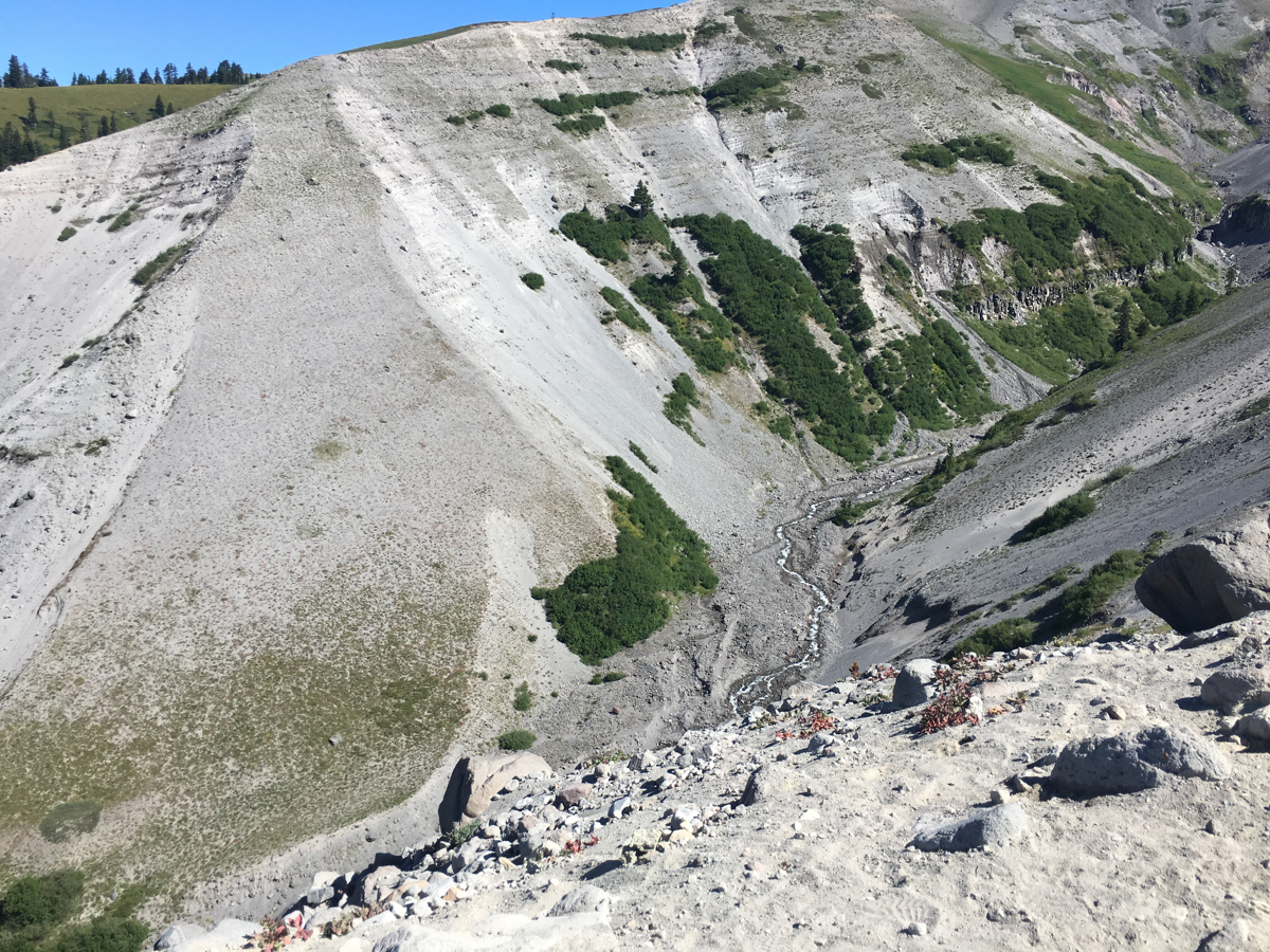 Mt Hood north of Timberline