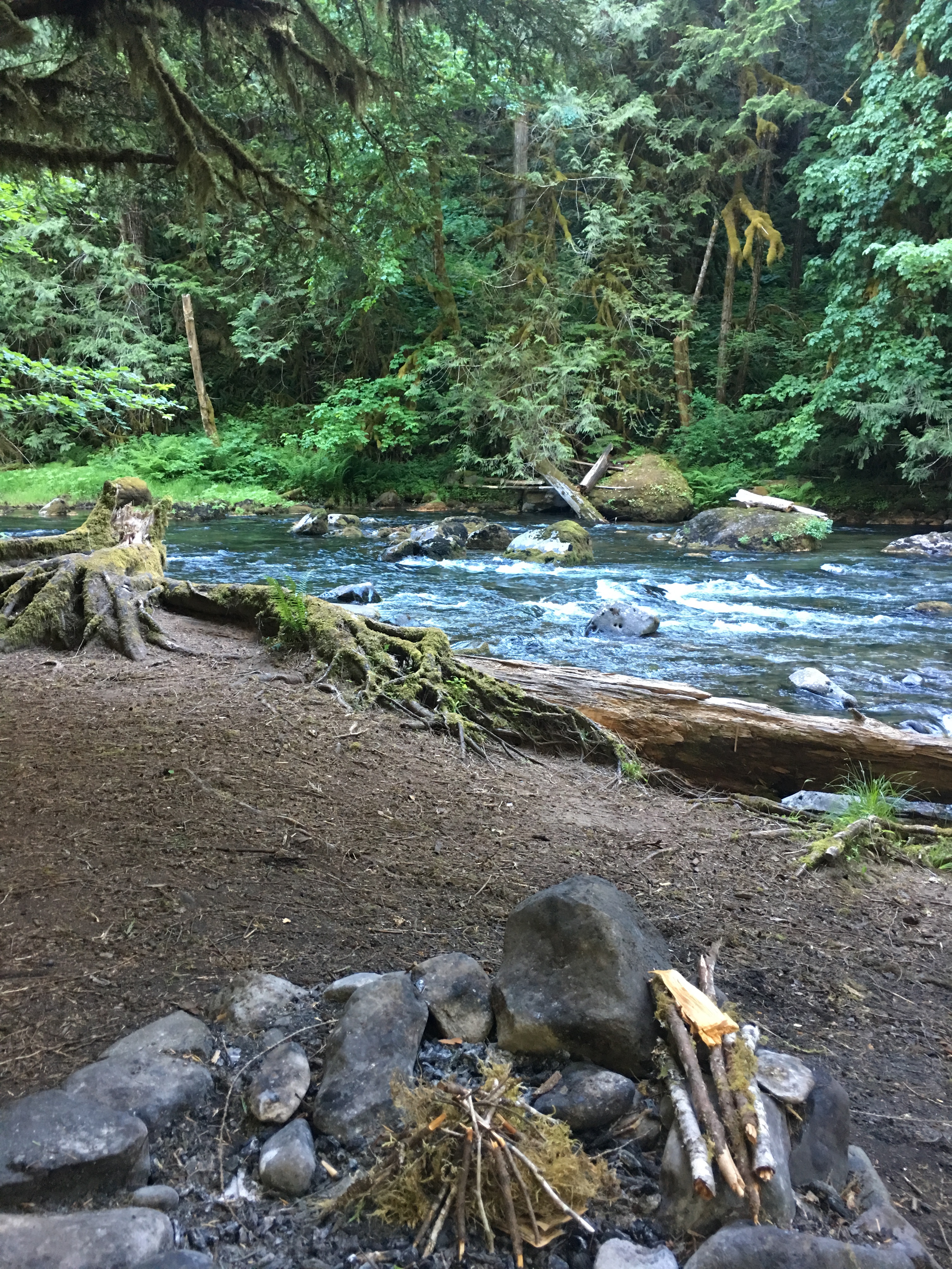 Campsite on the Salmon River Trail